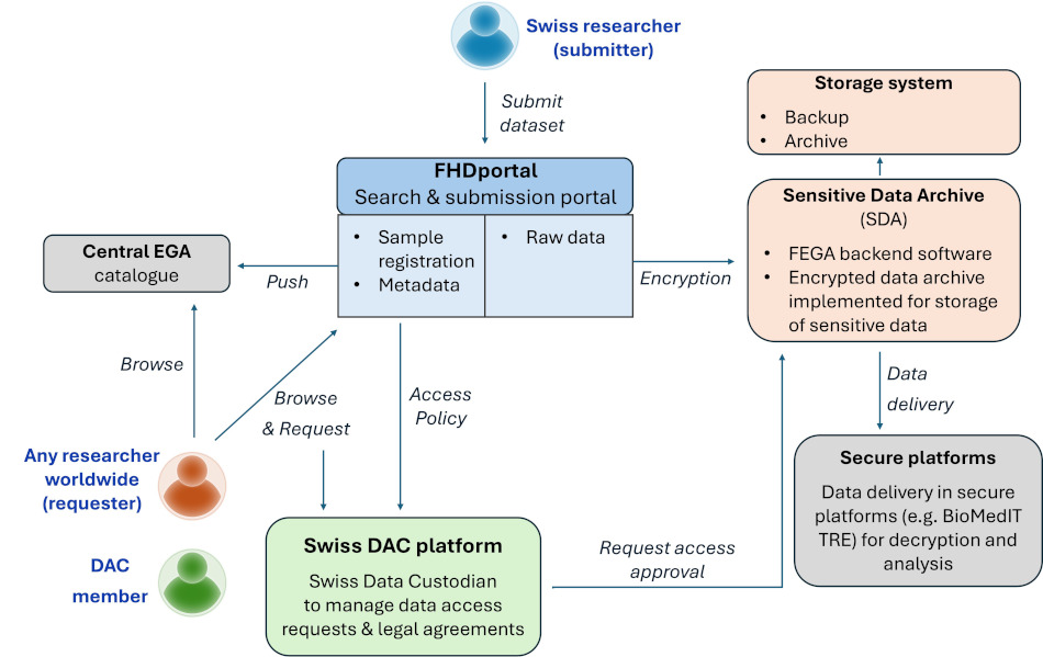 FEGA node diagram